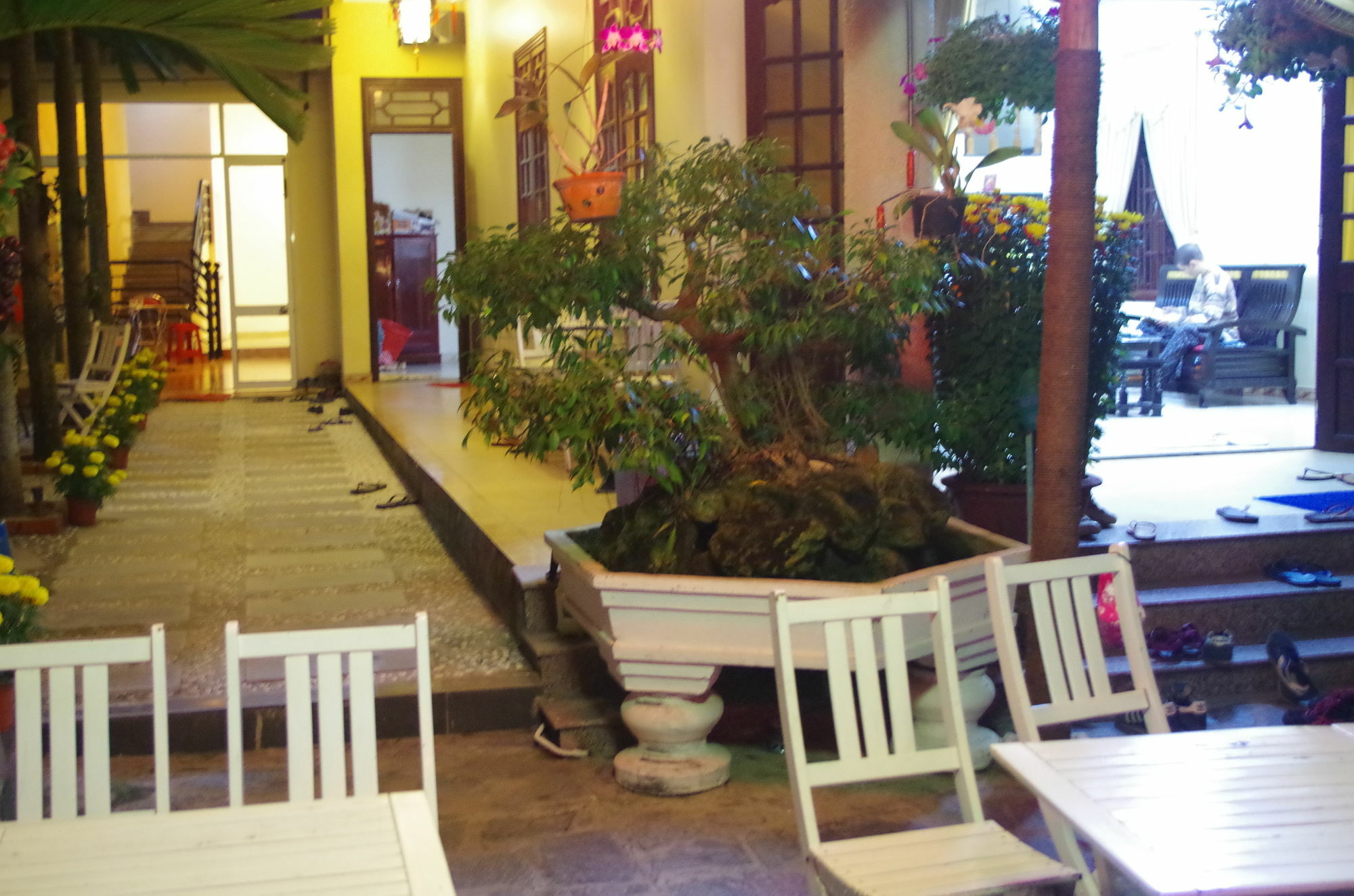 Mango Garden Hoi An Homestay Bagian luar foto